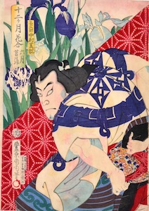 Kunichika, Comparison of Flowers and the Twelve Months - June (Iris)