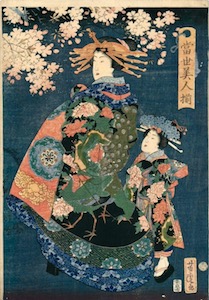 Yoshitora, All the Beauties of the World - Courtesan Promenading Under Cherry Trees of the Yoshiwara, Peacock and Peony Kimono